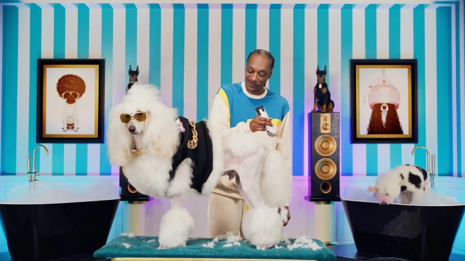 Snoop Dogg — All Walks Of Life